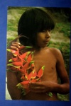  Postal -Brasil Nativo - menino da tribo Cinta Larga !!! Na mão com flores colhidas , local Rondonia !!! Decada de 1970 !!! !!!