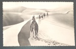 Cartofilia - Imagem do deserto do Saara Passeio com 5 pessoas em camelos pelas dunas com marcas das areias sinuosas devido ao vento !! acervo de colecionador !! decada de 1960 !!