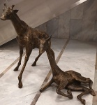 Belíssimas - Esculturas em bronze patinado, representando: "Casal de Girafas"  Assinada: A. Zani com selo da fundição artística.  Medidas:  Alt. 121 x 125 x 57 cm.   / Alt. 87 x 94 x 70 cm.