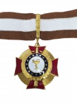 MILITARIA, uma (1) medalha comemorativa em metal dourado e esmaltado, com cruz pátea em vermelho, resplendor ao fundo e emblema central alusivo à farmácia, suspensa por fita marrom e branca. Peça comemorativa da ACADEMIA BRASILEIRA DE FARMÁCIA MILITAR, datada de 16-07-85, medindo 5cm de diâmetro.
