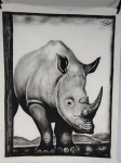 Pintura a óleo em tela, South africa big five Claude Stone, med. 60 cm X 90 cm