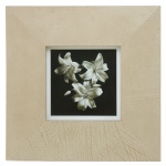 ArtImage  Three Lelis. Conjunto de 2 quadros decorativos apresentando arte floral estilizada em tons de branco e preto. 34 x 55 cm (MI). 71 x 70 cm (ME).