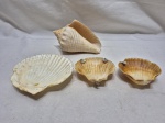 Lote de 4 conchas naturais, sendo 2 delas utilizadas como cinzeiro. Medindo a maior 15cm x 9cm de altura.