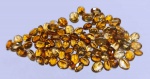 Lote pedras preciosas Citrino - Lapidação Oval - 65,5 ct aprox.