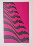 Kleber Ventura, Bandeira Pink, gravura, tiragem 1/25, 50x35cm, sem moldura