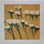 Olímpia Couto, Tulipas, gravura, PA 4/40, 50x50cm, sem moldura