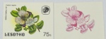 LESOTHO PAR DE SELOS PROVA DE COR COM O TEMA FLORA  - EM ESTADO  DE CONSERVAÇÃO CONFORME FOTO EXIBIDA1!!