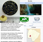 LEMBRAÇA DE BONITO M S - BOTON  COM TEMATICA ECOLOGICA ONÇA PINTADA SIMBOLO DO PANTANAL EM  BONITO   BÉLISSIMO!!