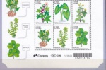 BRASIL SÉRIE  COMPLETA DO ANO 2024 COM 6 SELOS EM ESTADO MINT HOMENAGEM AS PLANTAS ALIMENTICIAS NÃO CONVENCIONAL !