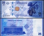 Syria Síria CEDULA DE  25 Pounds DO ANO 2025 - EM ESTADO FLOR DE ESTAMPA DE CONSERVAÇÃO