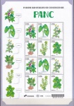 BRASIL FOLHA COMPLETA DO ANO 2024 COM 12 SELOS EM ESTADO MINT HOMENAGEM AS PLANTAS ALIMENTICIAS NÃO CONVENCIONAL