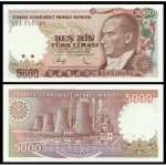 Turquia - P-198 - Cédula de 5.000 Lira Turca 1990 Flor de Estampa - Turkey -  Ásia