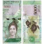 Venezuela - Cédula de 5.000 Bolivares Forte 2017 - P-97a - Luisa Caceres de Arismendi - Flor de Estampa