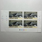 Ilhas Falkland, quadra mint, peixes, fauna marinha