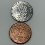 Moeda 5 centavos, 2008. Bela peça. E 5 cruzeiros 1985 FAO absolutamente flôr. Escassas. Oferta!!