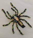 Exuberante broche em metal dourado ,representando ARANHA nas cores preto e verde . Medindo : 4 x 4,5 cm