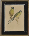 Antiga Aquarela de Pássaros, Assinada e datada de 1949, no canto inferior direito, medindo 60 cm por 44 cm.