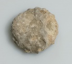 OURIÇO DO MAR FOSSILIZADO ORIGINAL COM CERTIFICADO - OS OURIÇOS DO MAR TEM UM ENDOESQUELETO RIGIDO FEITO DE OSSICULOS DE CALCARIO QUE FORMAM ESSA ESTRUTURA GLOBULAR. - ESPECIE INDETERMINDADA - PERIODO CRETACEO - MEDIDAS: 3 X 1,2 CM - PESO: 4 GRAMAS - ENCONTRADO NO SAARA OCIDENTAL - EM PERFEITO ESTADO CONFORME FOTOS