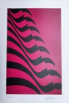 Kleber Ventura, Bandeira Pink, gravura, tiragem 3/25, 50x35cm, sem moldura