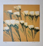 Olímpia Couto, Tulipas, gravura, tiragem 47/120, 50x50cm, sem moldura, necessita de limpeza, pequena avaria na borda