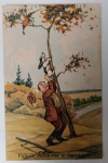 Antigo Cartão Postal Humorístico de Caça  "Salve-me a Reputação"  Circa 1940Ilustração colorida retratando um caçador em apuros, tentando fazer com que seu cão de caça suba em uma árvore para alcançar uma ave, com a legenda cômica "Vamos, salve-me a reputação"