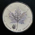 Canada - 5 Dolares 2016 - 1 Onça De Prata  (.999) - 31,11g - 38mm - Km-1916 FC - Edição Rara Com Marca Privada do Panda.