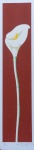 Carlos Passos  - Tulipa - Serigrafia, 38/110 - 50 x 12 cm - Sem moldura