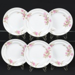 PORCELANA, seis (6) pratos fundos, ornados com rosas em policromia, frisos a ouro, marca SCHMIDT (Pomerode, SC; Mauá, SP; Campo Largo, PR, fundada em 1945, ainda em atividade, maior fábrica de porcelana da América Latina), medindo 23,5 cm diâmetro, vide foto.