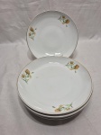 Jogo de 6 pratos fundos de massa, sopa em porcelana Steatita floral com friso ouro. Medindo 21cm de diâmetro.