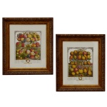 Reprodução da gravura da série "Twelve Months of Fruits" de Robert Furber. Artista Pieter Casteels III e gravada por Henry Fletcher. A imagem retrata uma cesta de frutas típicas do mês de outubro, incluindo uvas, pêssegos, peras e um abacaxi, frequentemente acompanhada por uma chave numérica que identifica cada fruta. 53 x 43 cm (MI). 70 x 60 cm (ME). A peça é ricamente colorida e emoldurada, tornando-a um item de decoração clássico. Belíssima molduras em madeira.