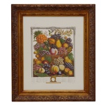 Reprodução da gravura da série "Twelve Months of Fruits" de Robert Furber. Artista Pieter Casteels III e gravada por Henry Fletcher. A imagem retrata uma cesta de frutas típicas do mês de outubro, incluindo uvas, pêssegos, peras e um abacaxi, frequentemente acompanhada por uma chave numérica que identifica cada fruta. 53 x 43 cm (MI). 70 x 60 cm (ME). A peça é ricamente colorida e emoldurada, tornando-a um item de decoração clássico. Belíssima molduras em madeira.