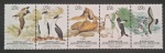 ANTÁRTICO AUSTRALIANO - FAUNA -  5 SELOS - MINT