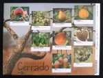 B196 - FRUTAS DO CERRADO
