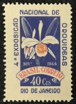 C 224D - SEM FILIGRANA - NOVO RHM 500 UF