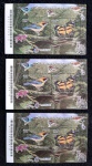 3 BLOCOS DA SERRA DO JAPI