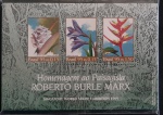 50 BLOCOS DO BURLE  MAX