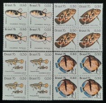 SÉRIE EM QUADRAS - PEIXES BRASILEIROS DE ÁGUA DOCE