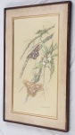 Rosalia Demonte. técnica mista sobre papel, representando composição botânica com orquídeas e mariposas, assinada. Medidas da obra: 62 x 34 cm. Medidas com moldura: 76 x 48 cm. 