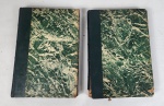 LIVRO - Sheldon Cheney - Historia da Arte. Volume I e II. 