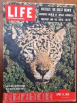 Revista LIFE International  13 de Abril de 1959  Capa Onça Brasileira & Matéria sobre Nabokov/Lolita