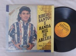 LP RIBEIRO SANTOS E BANDA MEL DE ABELHA - O TEMPO VAI DIZER // CAPA CONFORME FOTOS // DISCO EM MUITO BOM ESTADO // PODE CONTER RISCOS QUE CAUSAM CHIADOS, RUÍDOS OU PULOS