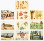 África Alemã. Figurinhas centenárias de colônia alemã. Raríssimas. Costumes, hábitos, paisagens, animais, tipos etc. 10 (dez) peças. Brindes de cigarros.