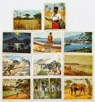 África Alemã. Figurinhas centenárias de colônia alemã. Raríssimas. Costumes, hábitos, paisagens, animais, tipos etc. 10 (dez) peças. Brindes de cigarros.