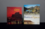 LIVRO- Lote com 2 livros de capa dura, ricamente ilustrados, sendo: CARLOS SECEHIN /JOSE DE PAULA MACHADO / MARCOS SÁ CORRÊA-` Gávea uma história do Rio`- Editora Agir-117 páginas e AUGUSTO IVAN DE FREITAS PINHEIRO / ELIANE CANEDO DE FREITAS PINHEIRO.-` A