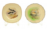 ROYAL DOULTON, ENGLAND - Dois pratos decorados em suas galerias centrais com coloridos peixes e padrões fitomórficos; em faiança inglesa marfim, sendo um redondo e um quadrado. Medidas: 21 cm (diâm.); 22 x 22 cm.