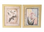 QUADROS, duas (2) reproduções/colagem sobre eucatex, sendo um com flor branca sobre fundo em tons claros e outro com flor em tons rosados, moldura em madeira com colagem clara, medindo 68x54cm.