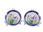 PORCELANA, par de pratos decorativos japoneses, em porcelana esmaltada, com rica decoração floral representando íris em tons de verde, lilás, branco e rosa, borda azul cobalto com arabescos dourados e detalhes ornamentais. Verso com marcação em ideogramas e inscrição JAPAN. Acompanham ganchos colados com Durepox , medida : 16 cm