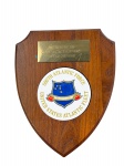 COLECIONISMO, Uma (1) placa comemorativa de parede, em formato de escudo, confeccionada em madeira , com aplicação circular e porcelana esmaltada South Atlantic Force  United States Atlantic Fleet e brasão central, acompanhada de placa metálica superior gravada Presented to Capt. J.C.R. Lusitano  UNITAS 29/1988. Medida : 22 x 17 cm