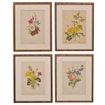 Conjunto de 4 gravuras em cores, representando galhos com suas flores, tendo os seus nomes botânicos em latim e em francês na parte inferior. Entre outras, autoria de James Andrews e gravação de Clarke. Molduras em madeira. 35 x 25 cm (MI). 50 x 40 cm (ME).