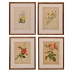 Conjunto de 4 gravuras em cores, representando galhos com suas flores, tendo os seus nomes botânicos em latim e em francês na parte inferior. Entre outras, autoria de P. I. Redouté, gravação de Langlois e impressão gráfica de Rémond. Molduras em madeira. 35 x 25 cm (MI). 50 x 40 cm (ME).